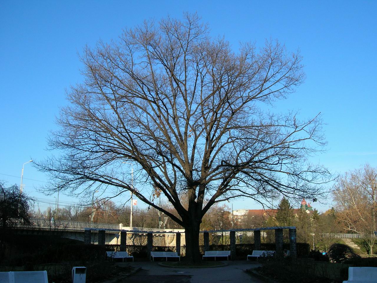 Alpinet Park